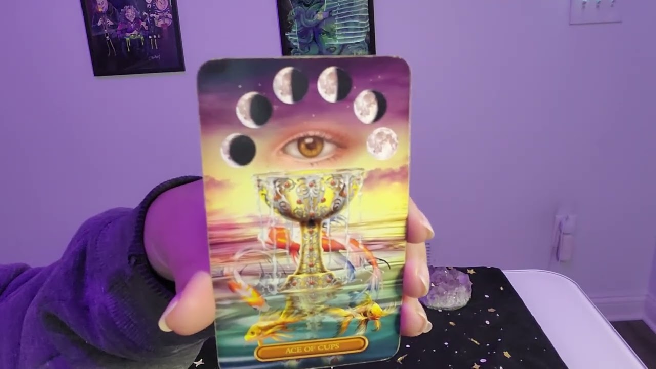Request Denied || Aquarius♒️ Weekly Tarot Reading 2/23/26