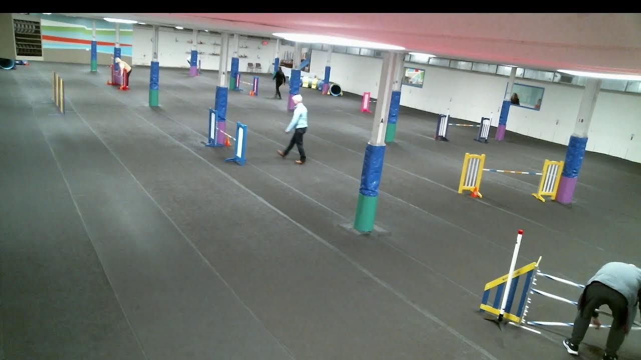 TCOTC Agility Trial Feb/March 2026