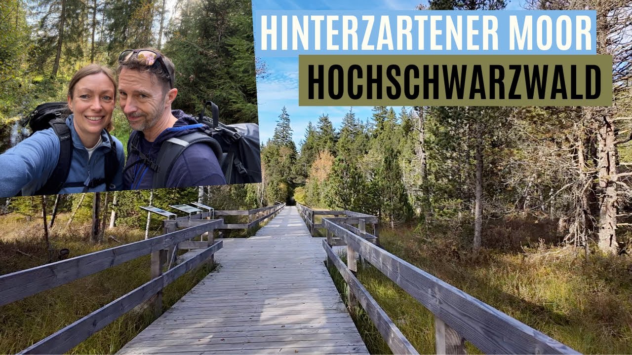 Wanderung im Schwarzwald: Das Hinterzartener Hochmoor 🌳☀️