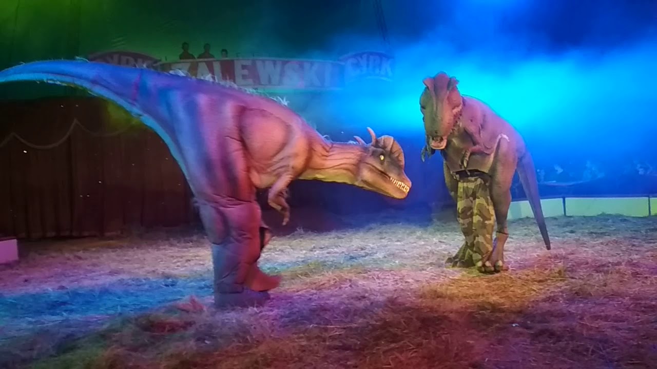 Cyrk Zalewski Stargard 2019 dinozaury