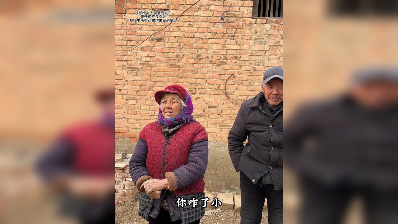 下乡收土货，沾一身泥土香，遇一路温柔人。