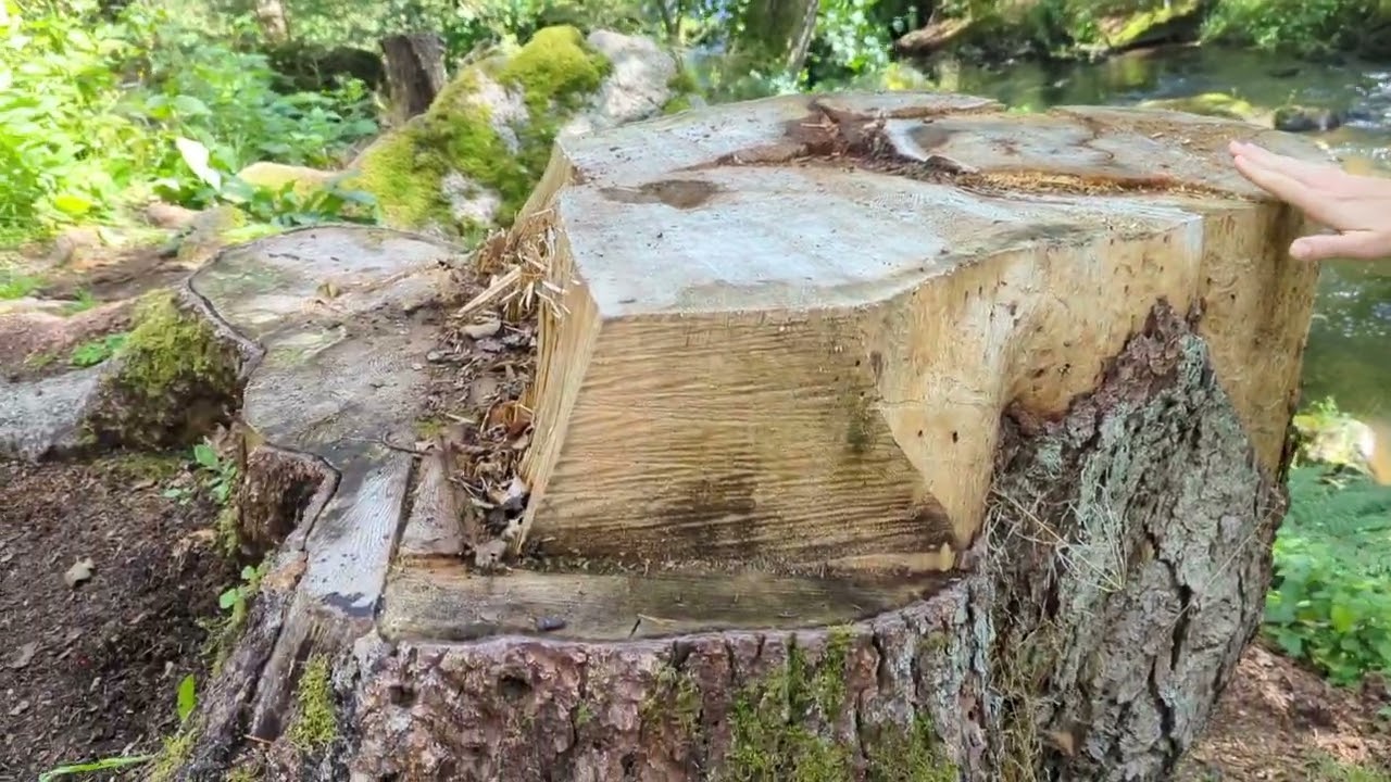 Hiking in Germany: Waldnaabtaal - The hidden gem