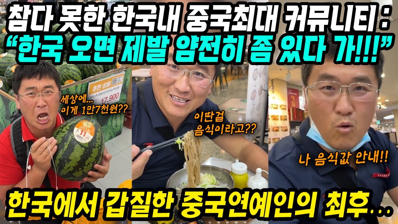 중국반응│한국에서 갑질한 중국연예인의 최후│제발 한국오면 민폐 좀 끼치지마│해외에서 증명되는 중국인들의 교양 수준│중국어로[路]