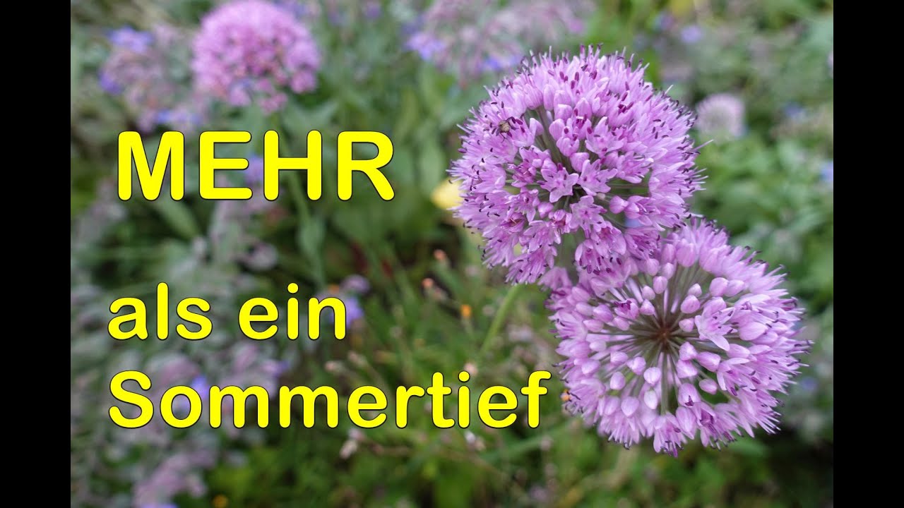 Ungepflegt und trotzdem schön?
