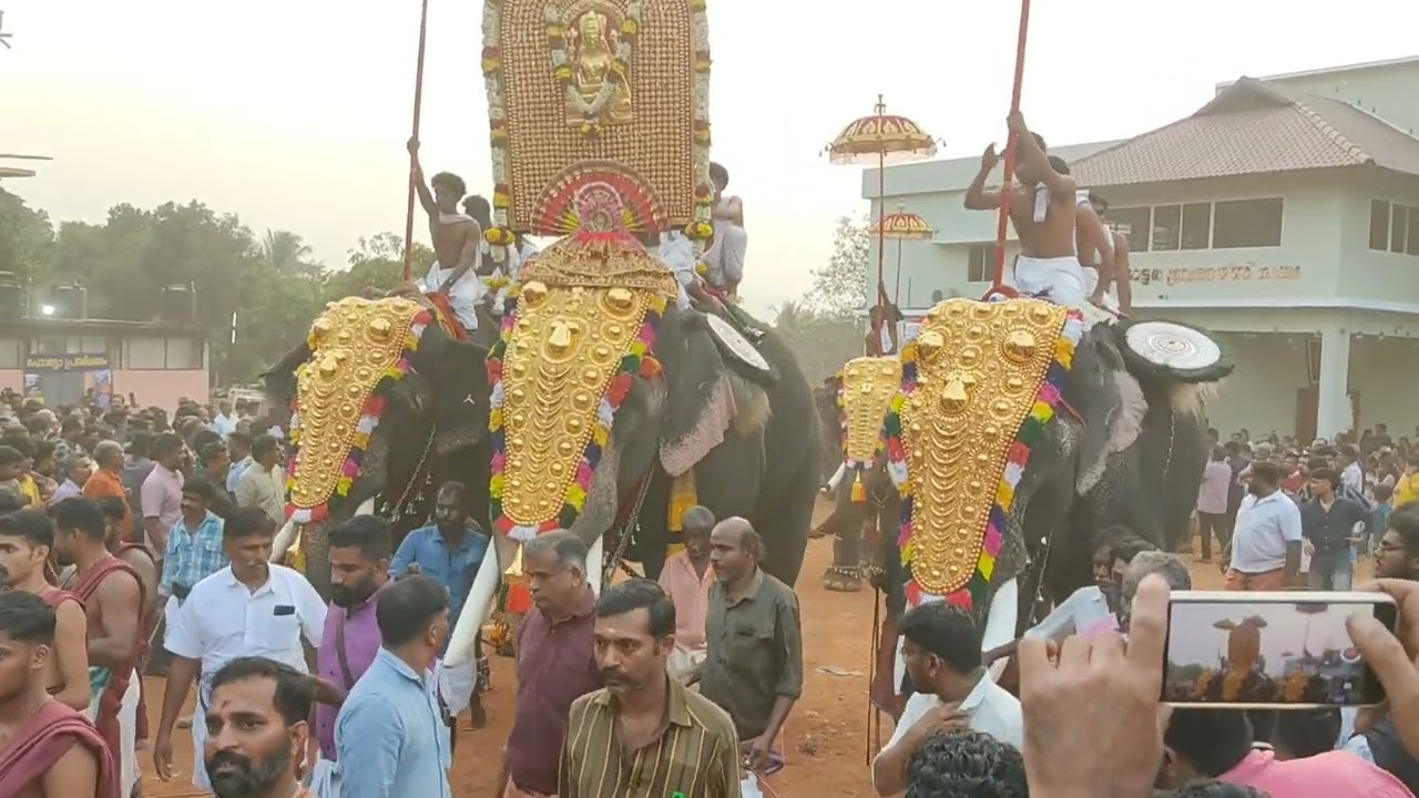 Punnamparambu pooram 2026 പുന്നാംപറമ്പ് പൂരം