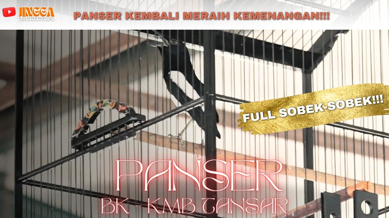 KACER SUPER MEWAH INI LIHAT AJA PARUHNYA ❗
