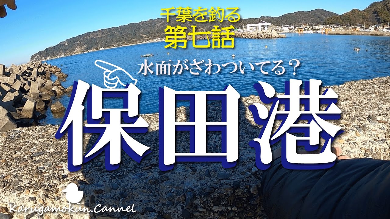 【千葉を釣る第七話★12月下旬】保田港に来ました。何やら海面が騒がしい？あちらこちらでボイル発生！【サビキ】