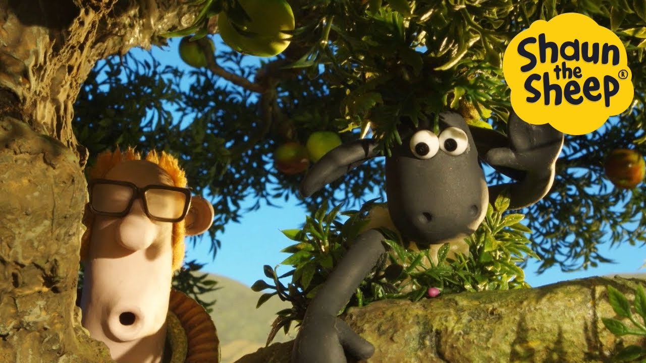 LIVE 🚨 NEW FULL EPISODES🐑 Cartoons for kids, Preschool, Shaun the Sheep