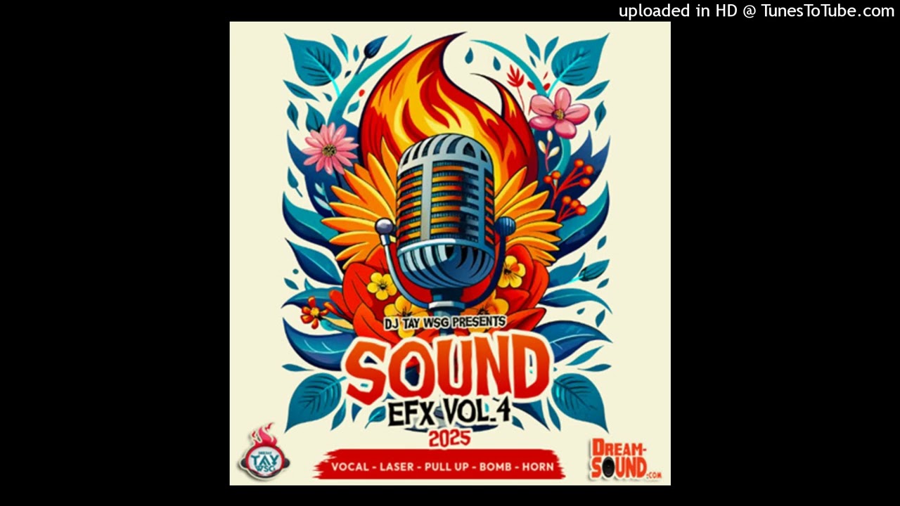 DJ TAY WSG - SOUND EFX VOL.4 2025 (AUDIO PREVIEW)