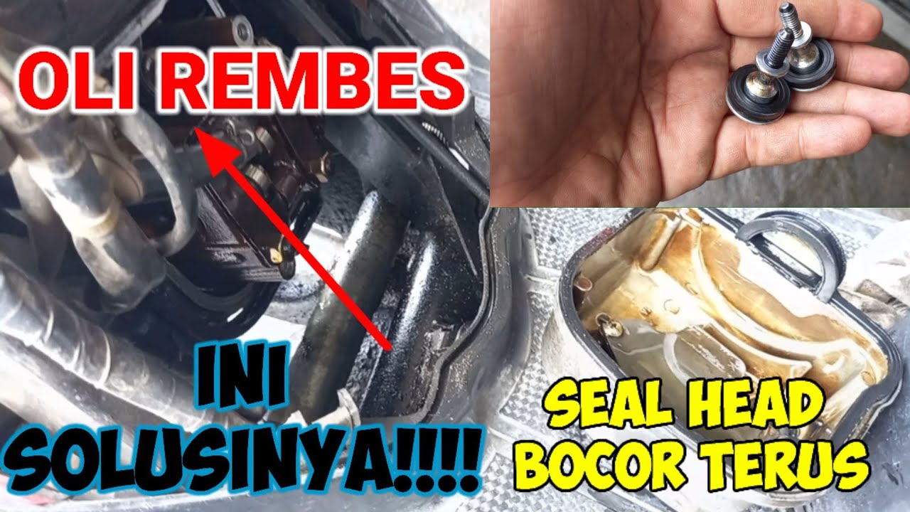Penyebab Packing Head Beat Bocor | Seal Head Beat Carbu Bocor | Ganti Seal Head Beat Anti Bocor