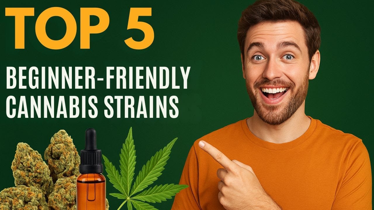 Top 5 Beginner-Friendly Cannabis Strains | Easy to Grow & Great Effects 🌱