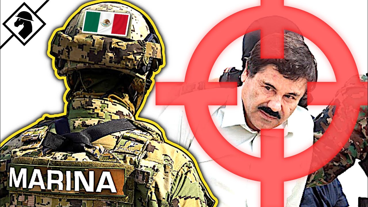 How Mexican Marines became the Anti-Cartel Force