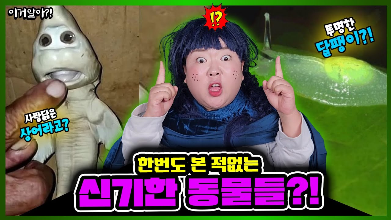[이거알아-동물]세상에 신기한 동물🪼🐌들이 다 모였다!?ㅋㅋㅋㅋㅋ투명한 동물🪲부터 오래사는 동물🐋사람 닮은 동물들까지?!