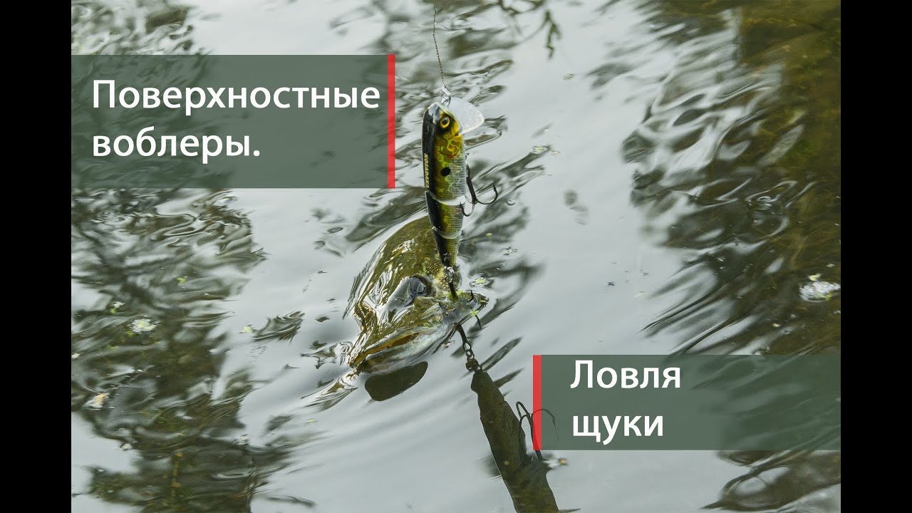 Ловля на поверхностные воблеры. Ловля щуки.