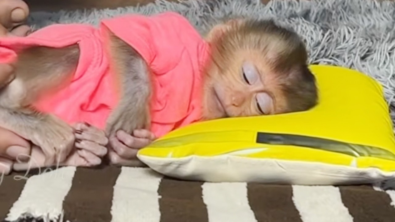 Baby Tori Extremely Refuse Mommy To Sleep On Rugs