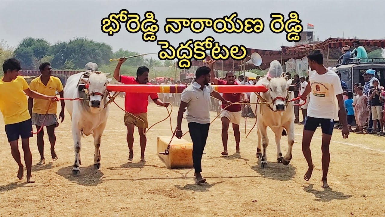 ఇసుకల ఆరు పల్లు విభాగం 1 బహుమతి 🏆@DGHBULLSkanala