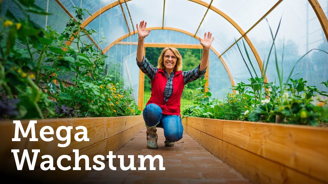 Gigantisches Wachstum im Folientunnel nach nur 1 Monat! 😱