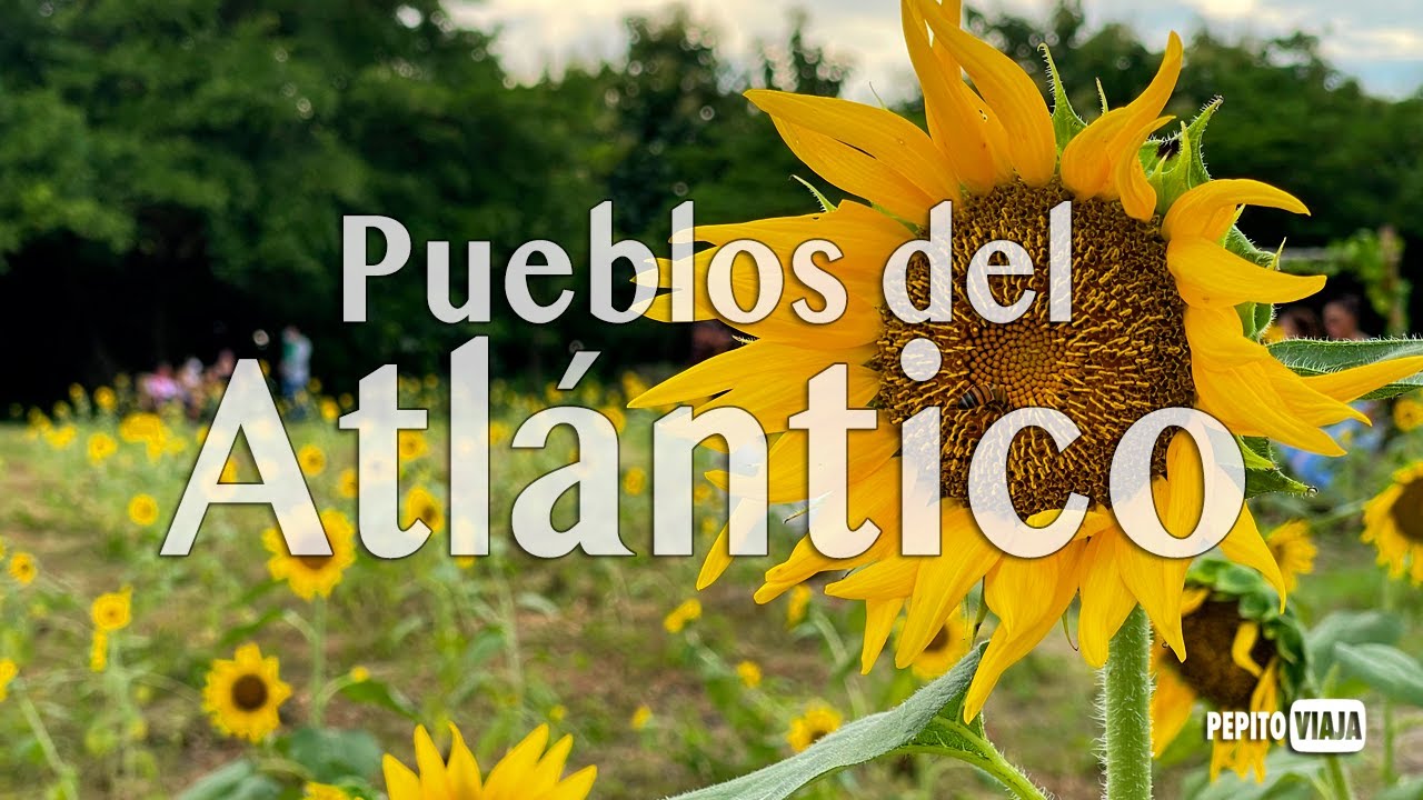 ATLANTICO TURISTICO - RUTA GASTRONOMICA [4K]