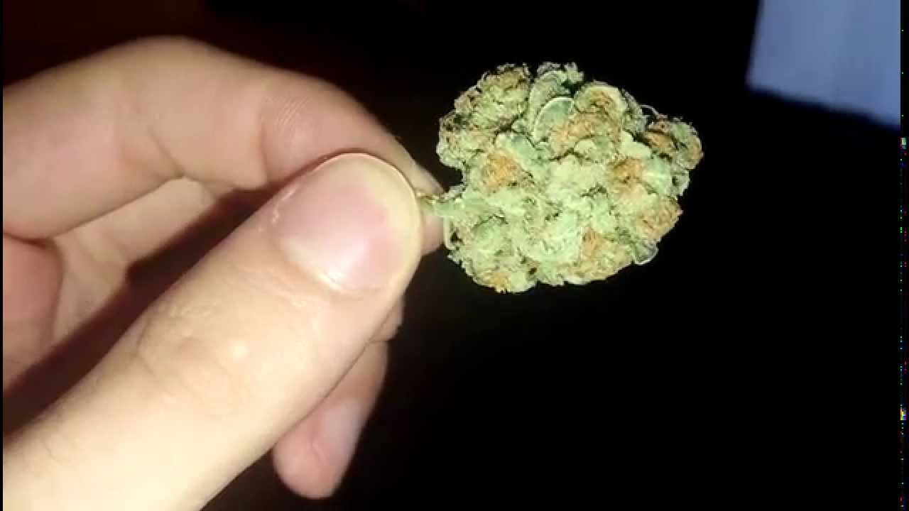 Urkle OG