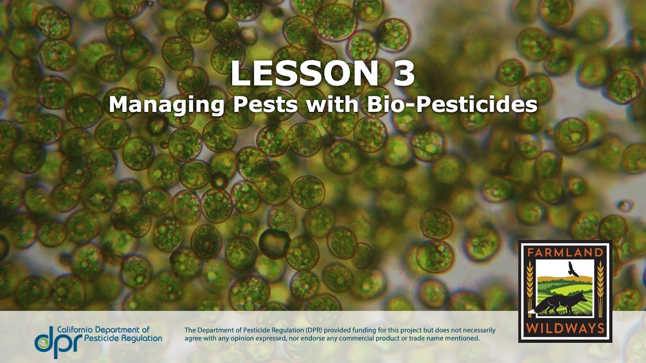 Managing Pests with Bio-Pesticides Webinar