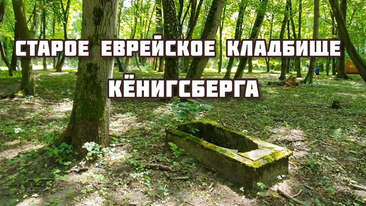СТАРОЕ ЕВРЕЙСКОЕ КЛАДБИЩЕ КЁНИГСБЕРГА, тихий ужас😱#калининград #кёнигсберг #россия