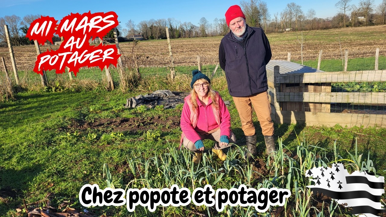 QUE FAIRE AU POTAGER MI MARS ? Mes conseils d'entretien et de germination