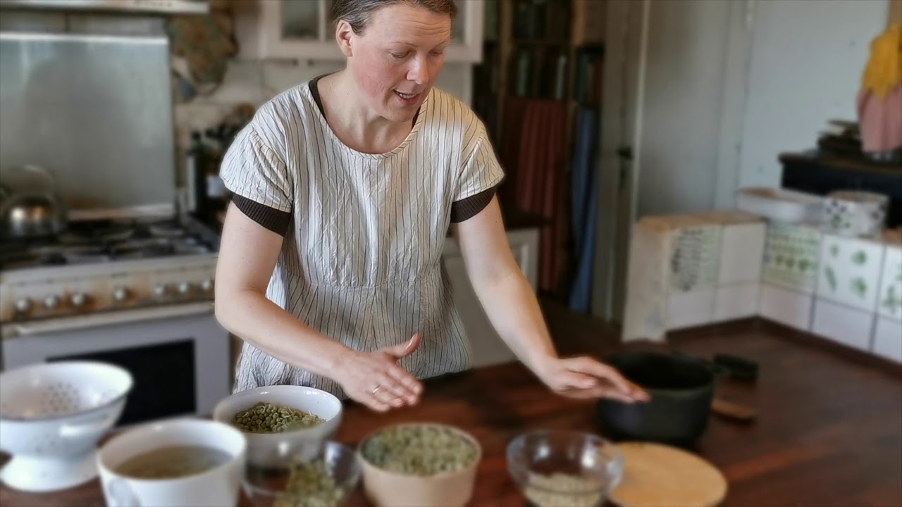 Kastanjely sådan dyrker du ærteskud