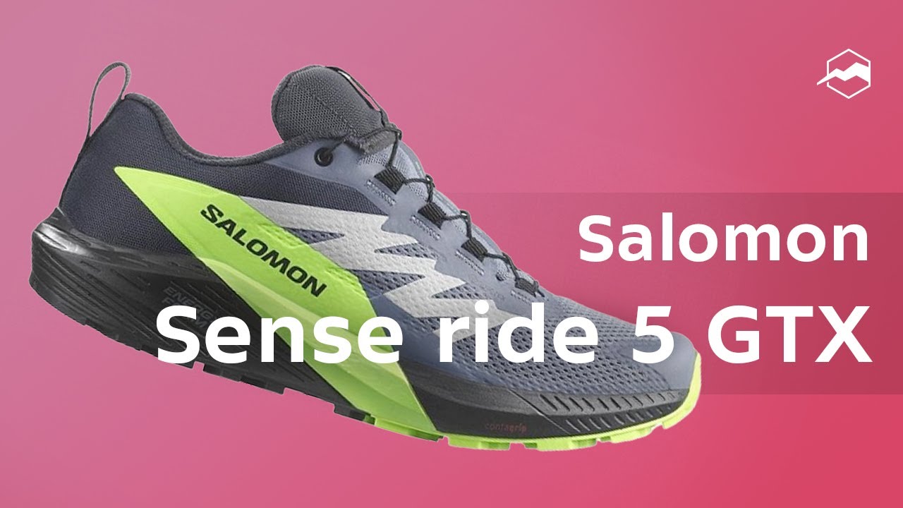 Кроссовки Salomon Sense Ride 5 Gtx