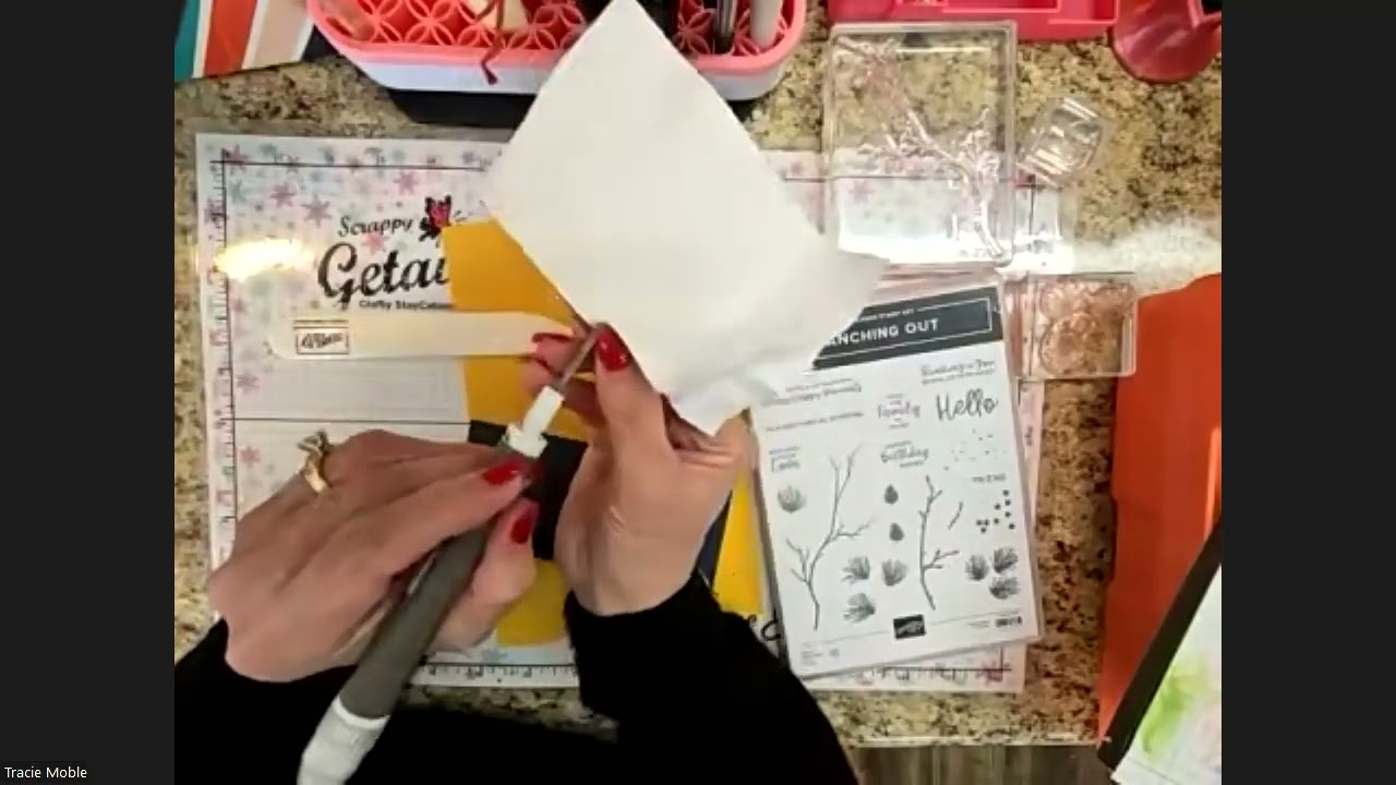 Stamping With My Mom - Faux Suede Technique