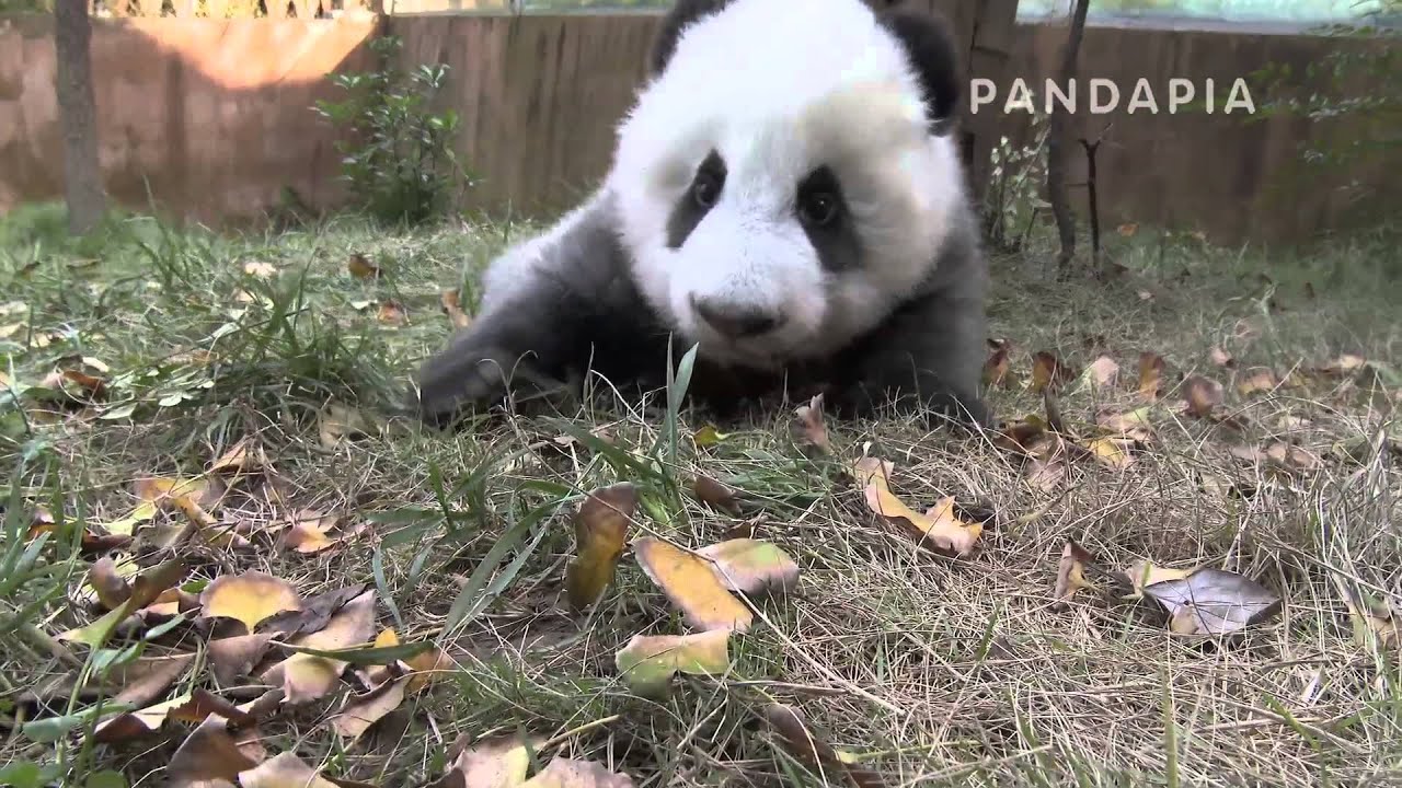 Time Machine Episode 5 Cheng Jiu-Not Giving Up