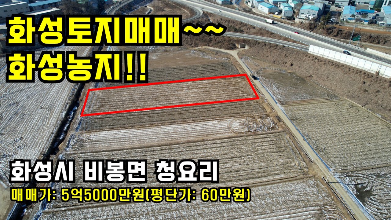 👍화성농지매매,화성토지매매, 화성남비봉팔탄IC앞 농지 ✔️화성시 비봉면 청요리 ✔️5억5000만원 ✔️매물번호 1373