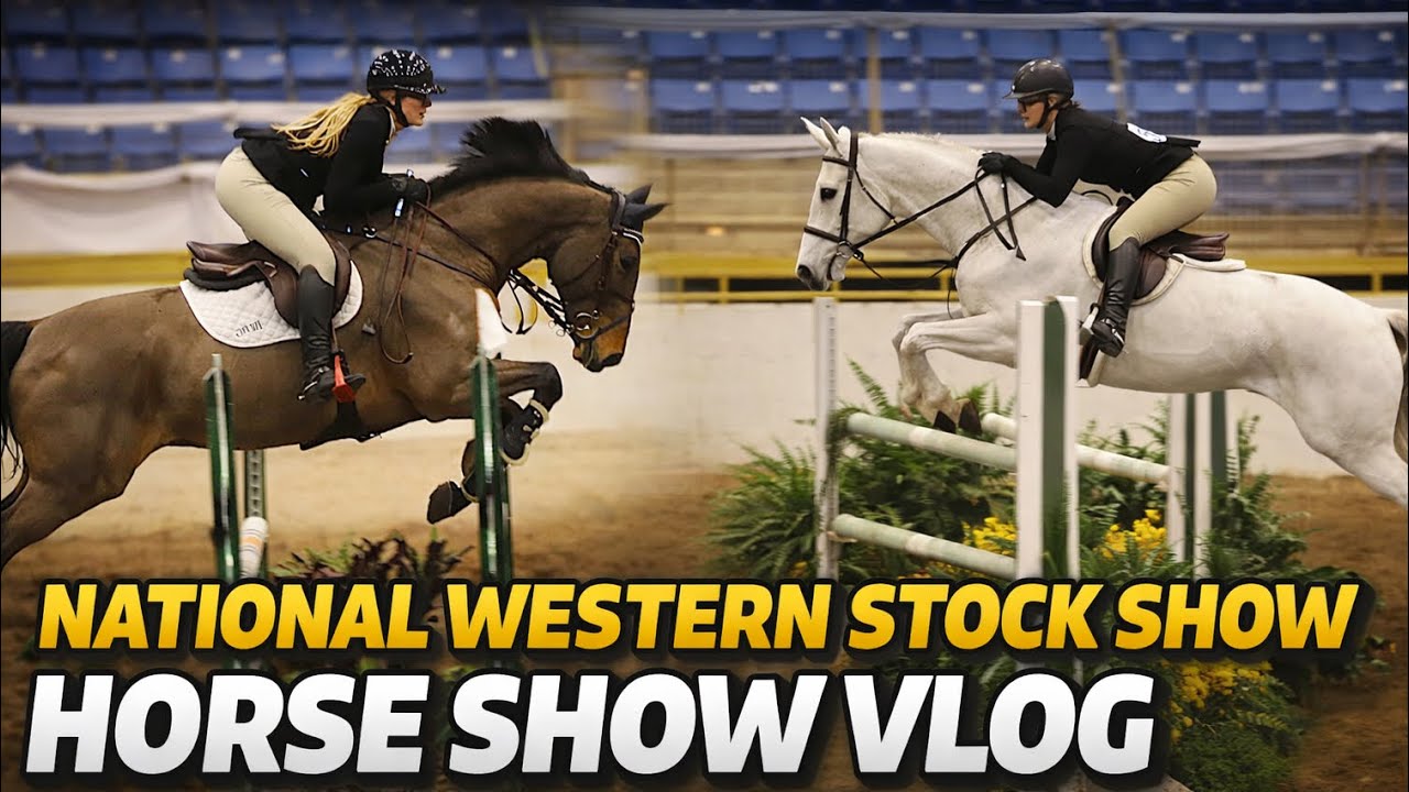 National Western Stock Show Horse Show Vlog 2026! || Zoey Berg