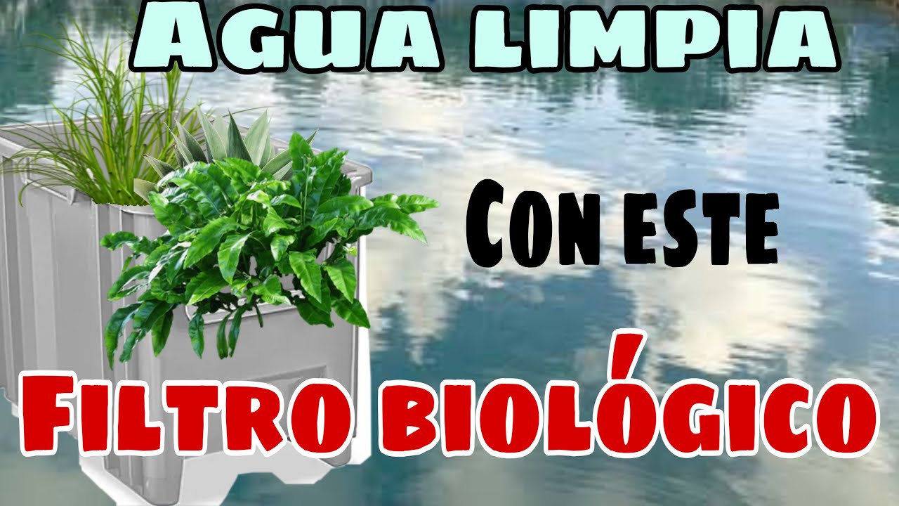 DIY FILTRO BIOL&Oacute;GICO CASERO | &iquest;Como puedo hacer un Filtro Casero? | Filtro casero para estanque