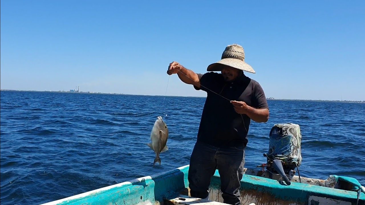 Pesca para un ceviche super fresco