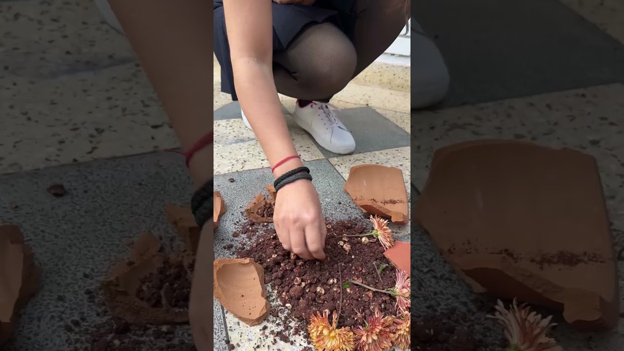 Not your average soil—this one’s edible.