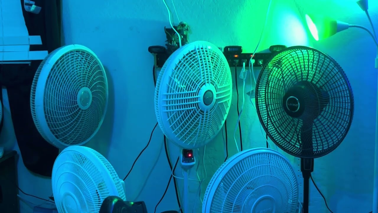 Yo, @zzztop, I have the same exact 3 Lasko Fans as you! 4/9/2025