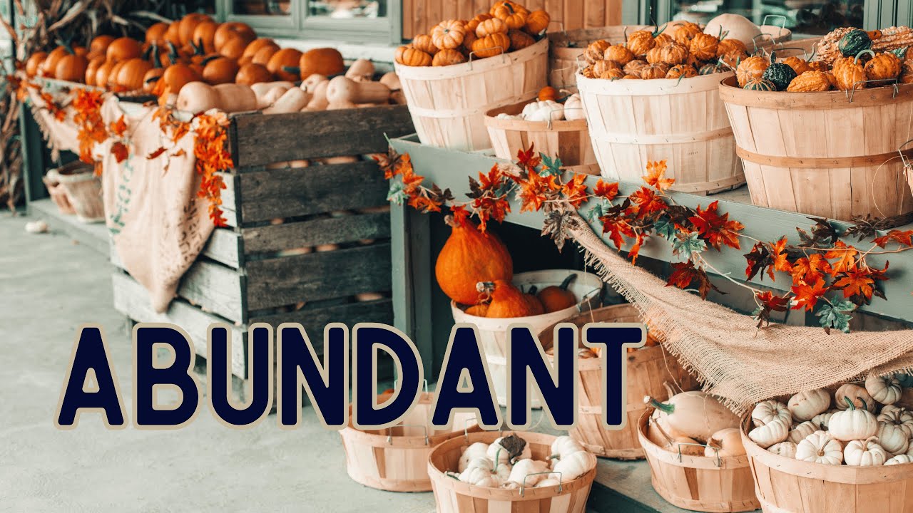 What is the meaning of Abundant?