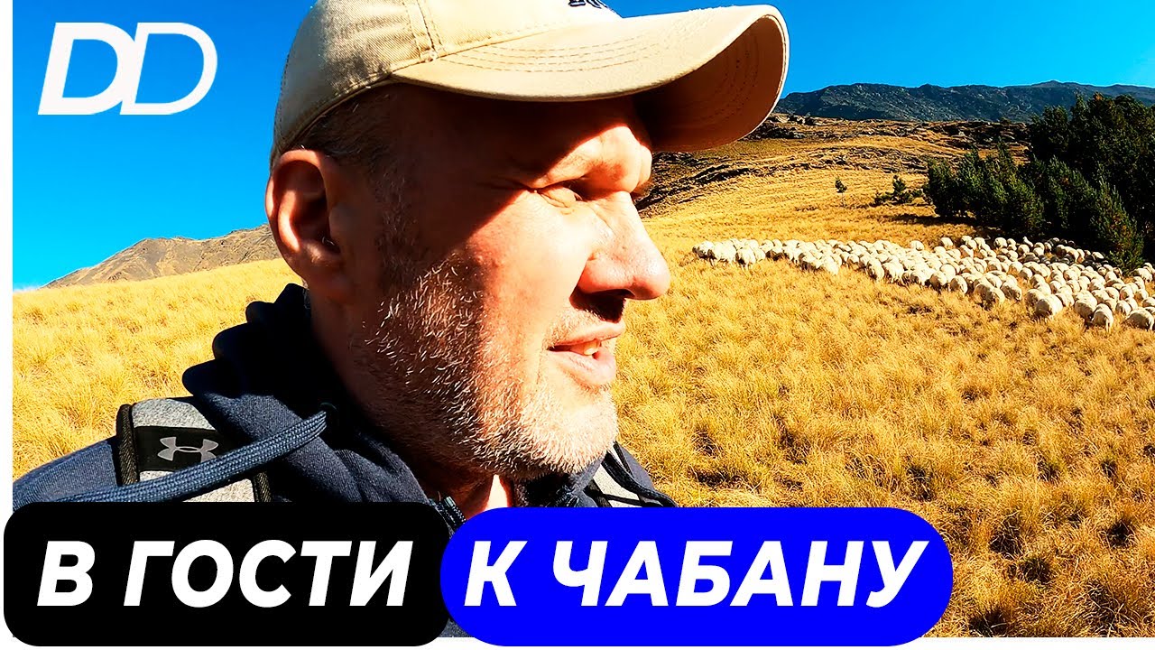 ЖИЗНЬ ЧАБАНА! ВОСХОЖДЕНИЕ НА ГОРНОЕ ПАСТБИЩЕ! КАК РАБОТАЕТ ЧАБАН? САМАЯ ОПАСНАЯ ГОРНАЯ ПРОФЕССИЯ!