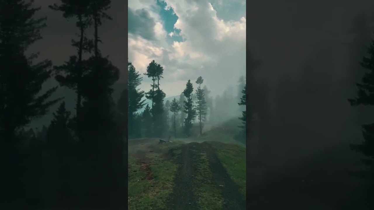 #instrumentalmusic