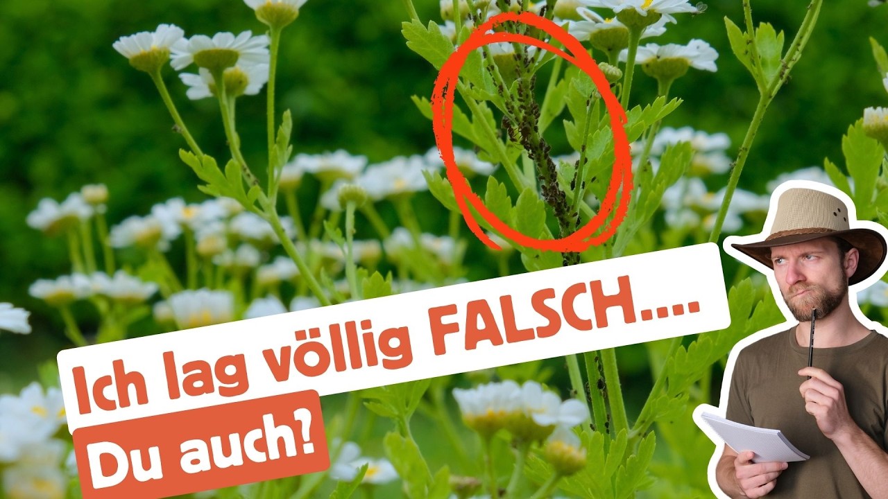 🪲4 Sch&auml;dlinge die GUT f&uuml;r deinen Garten sind
