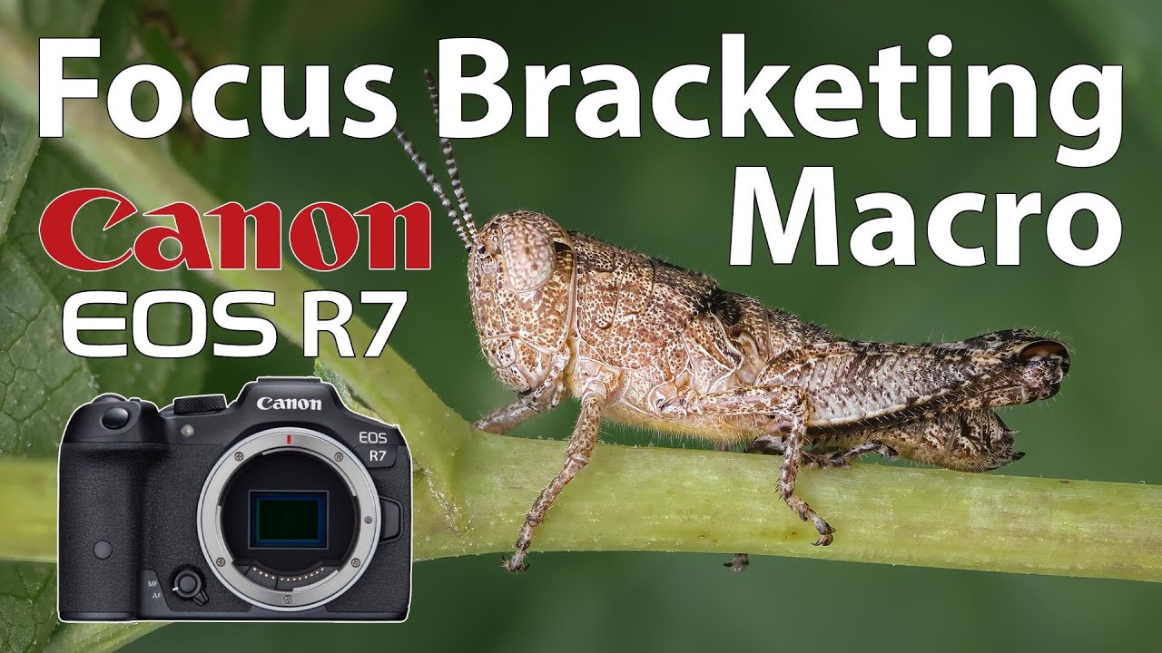 Макросъемка с брекетингом фокусировки Canon R7