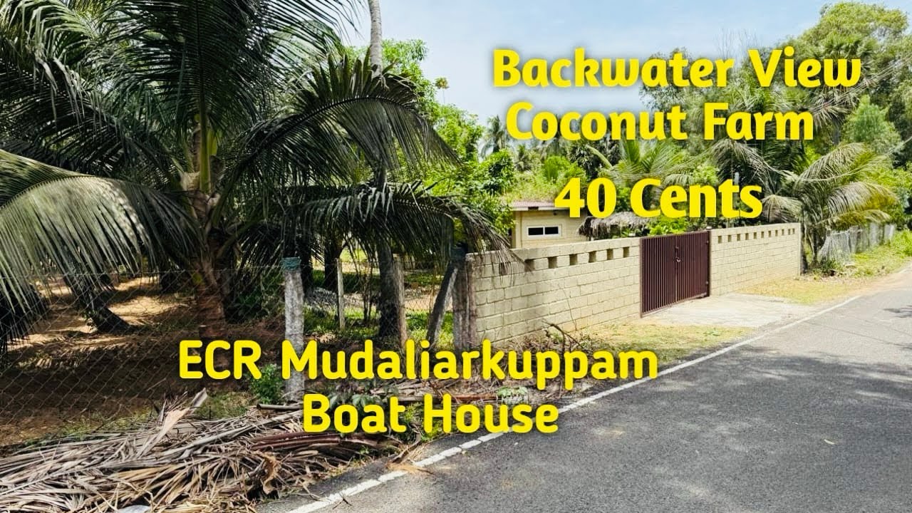 AD:301 Back Water View Coconut Farm || 40 Cents || ECR Mudaliarkuppam Boat House 