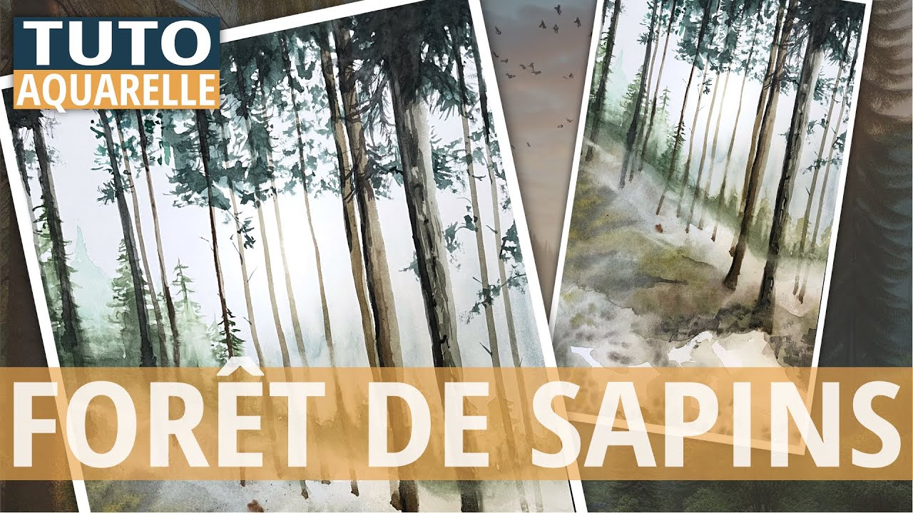 Tuto Aquarelle Forêt de Sapins - pas à pas niveau  intermédiaire