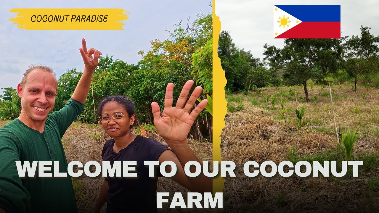 Welcome to our coconut farm - Farming in the Philippines