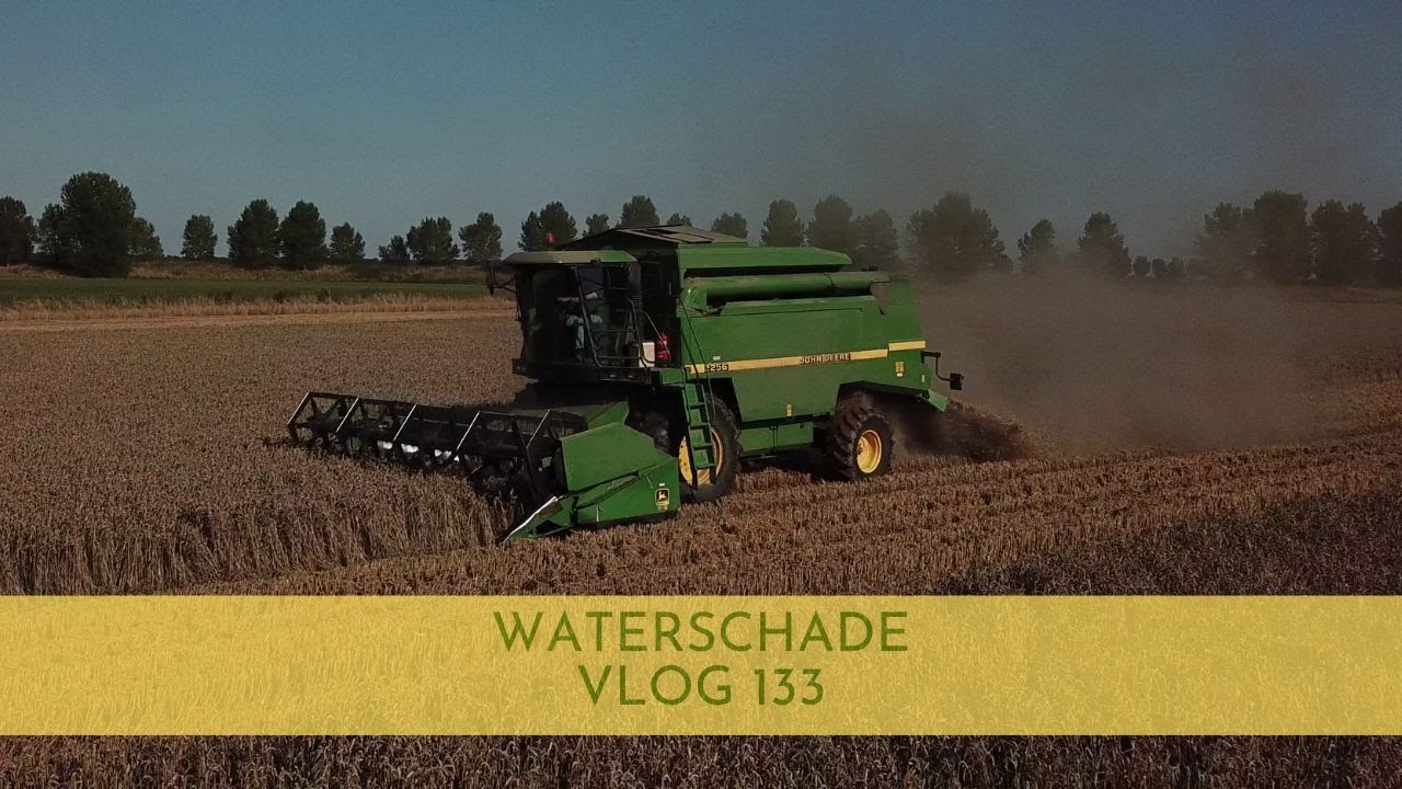 waterschade (vlog 133)