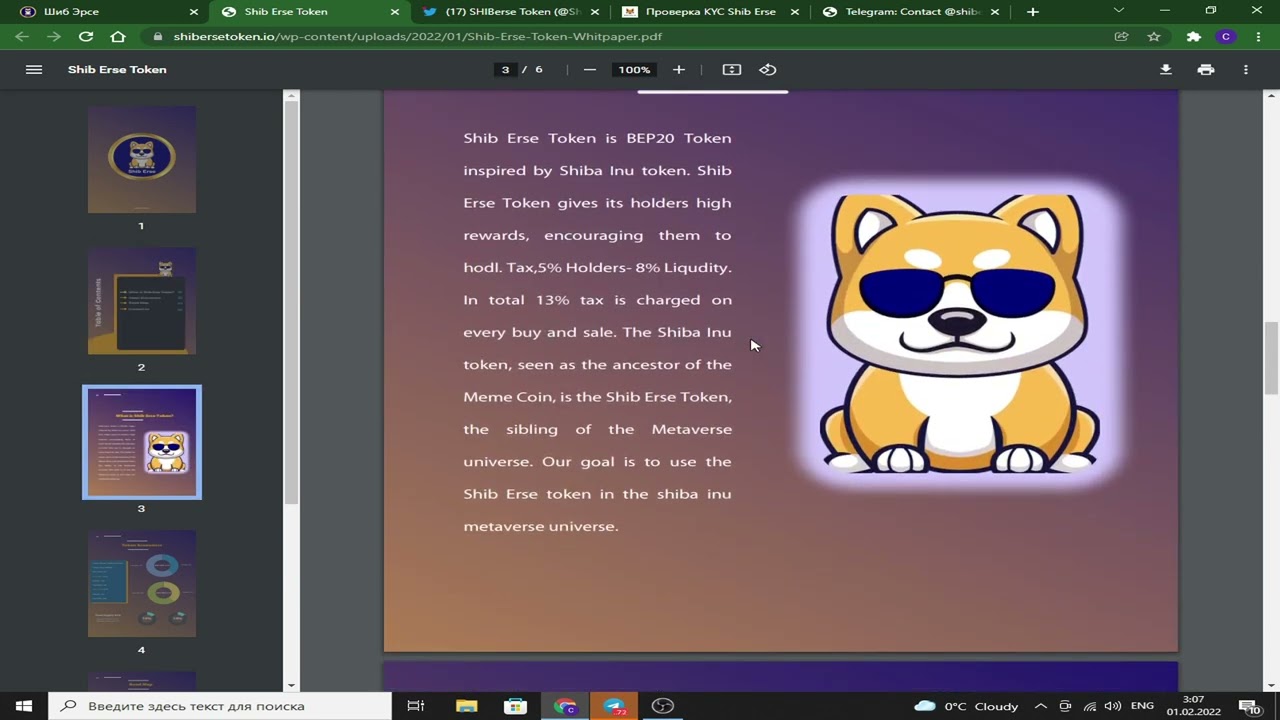 SHIBerse очень крутой проект переходи не пожалеешь !!!!!!!