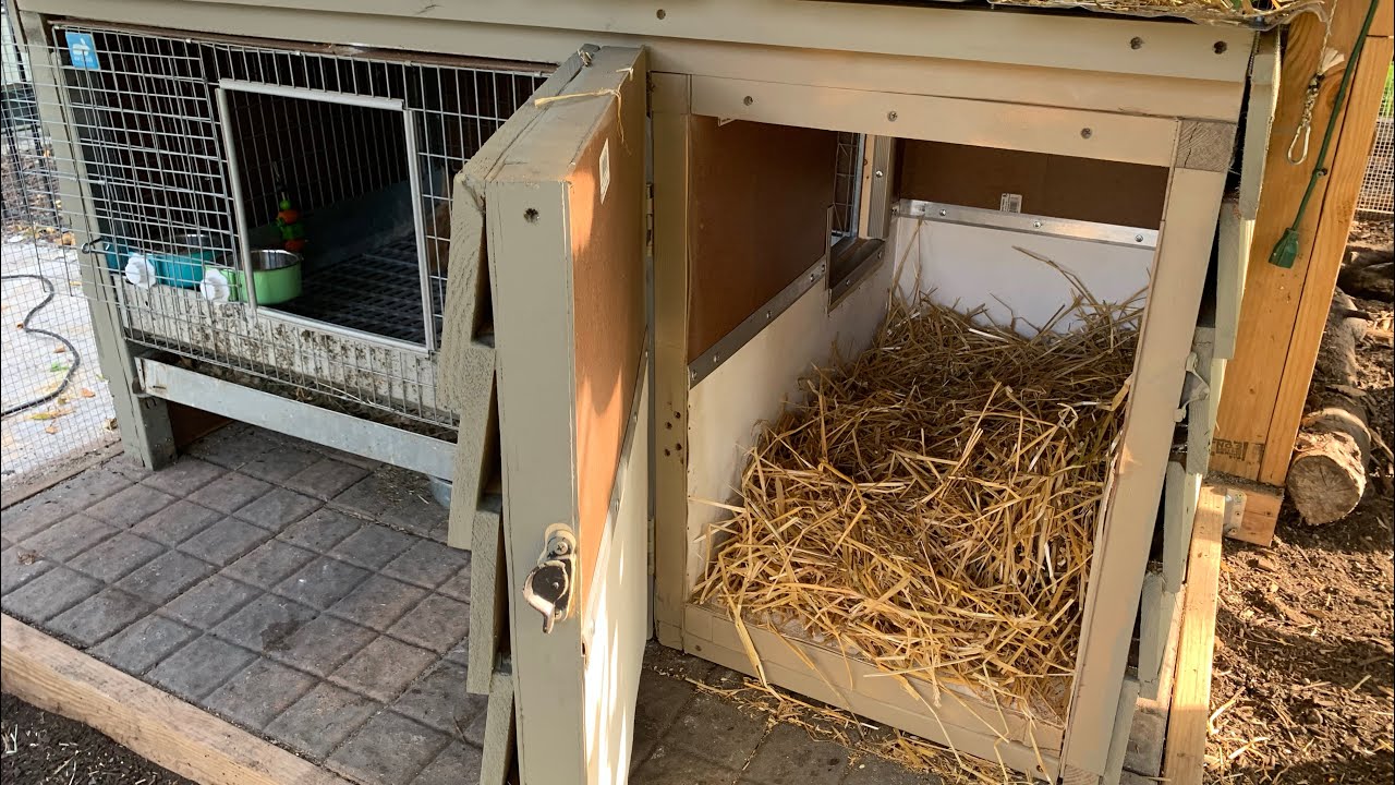 Insulated Rabbit Hutch Build ~ Plus Bunny Name Reveal ~ With Twin Cities Adventures