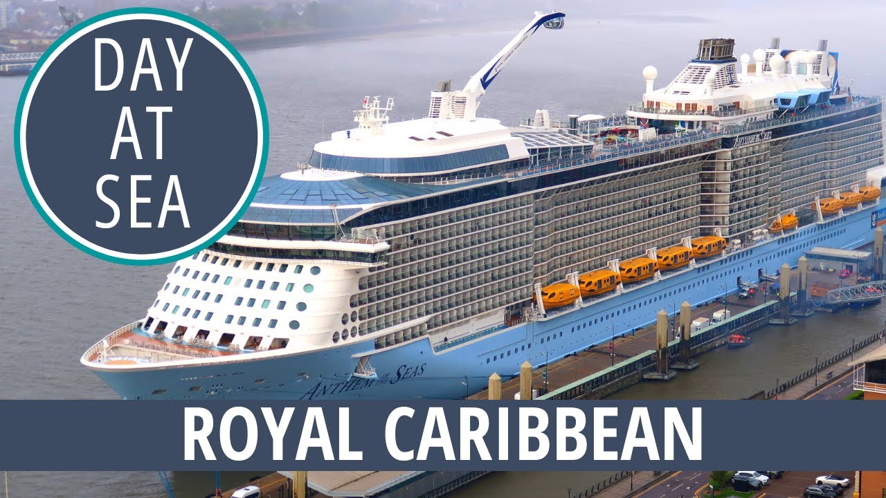 ROYAL CARIBBEAN ANTHEM OF THE SEAS CRUISE | BUMPER CARS AND ROBOT WAITERS