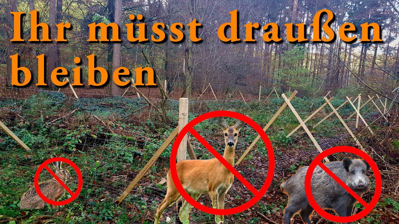 Wildschutzzaun errichten mit DIY Zaunabroller