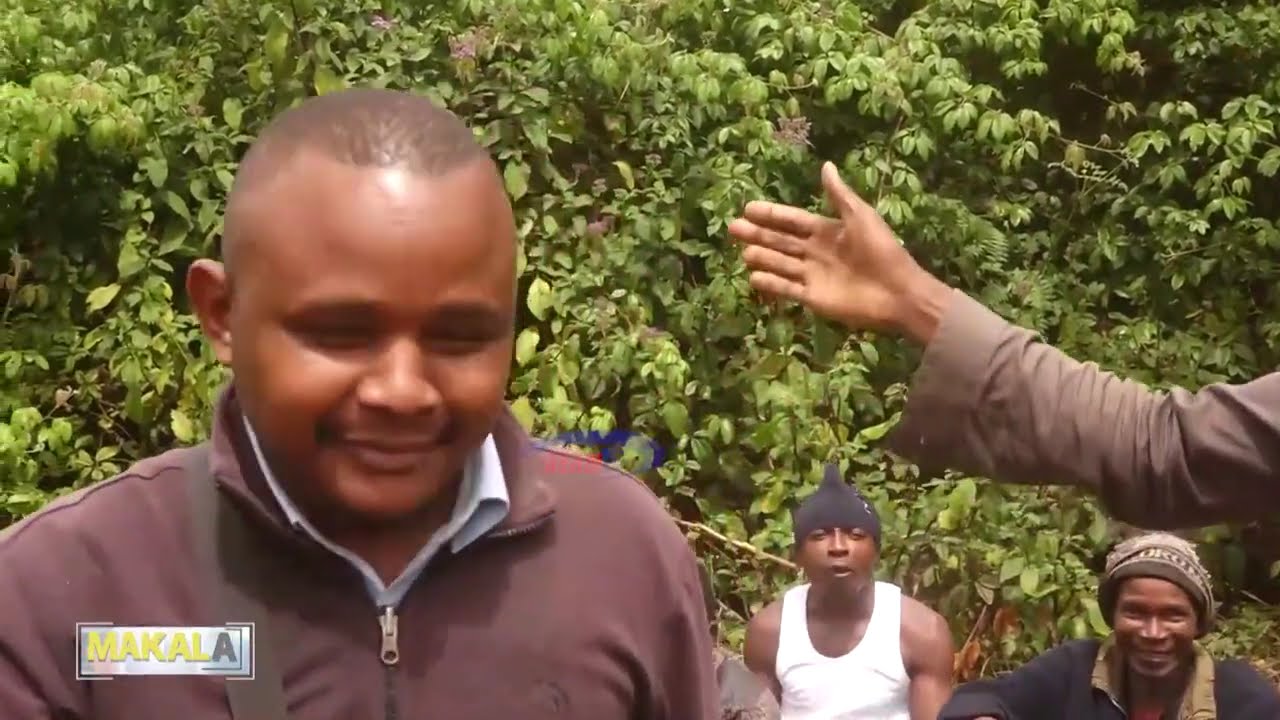MAKALA   | Msitu wa Chome na maajabu ya matambiko ya Wapare